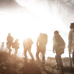 Learn from the Leaders: Harnessing the Power of the Team to Win