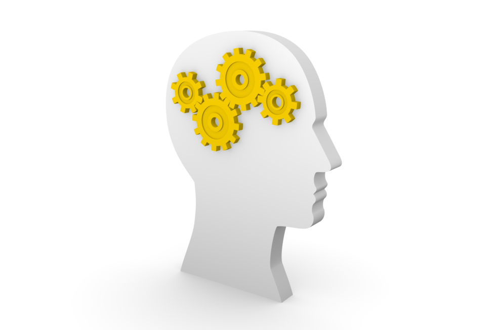 Raise Your People IQ!